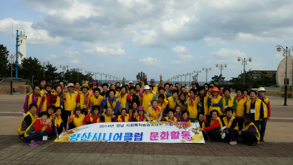 2014 문화활동