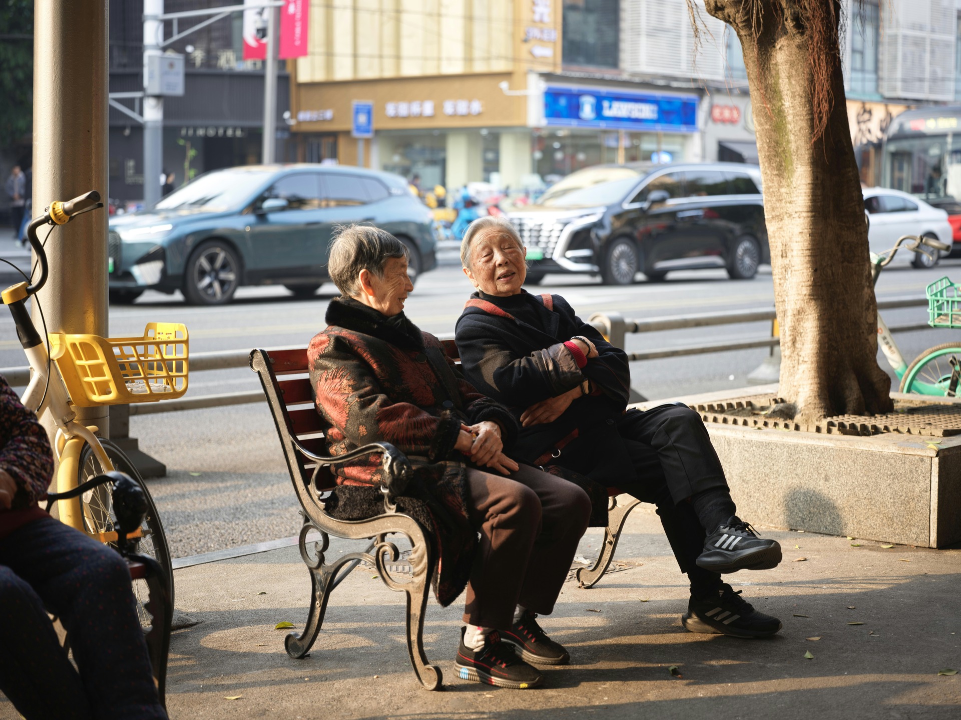 노인역량활용사업 대표 이미지